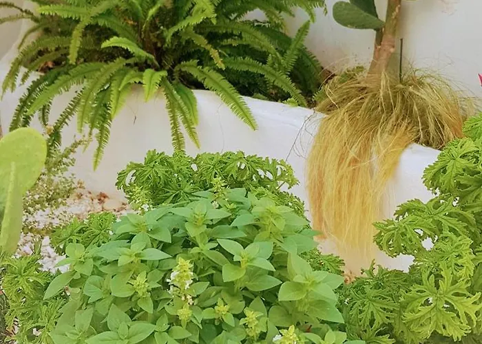 Yades House Paros Naousa (Paros)